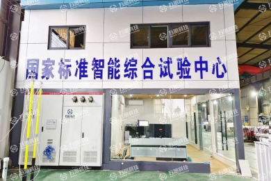 The installation and commissioning site of Jiangsu Qiangsen Electric Co., LTD. Project